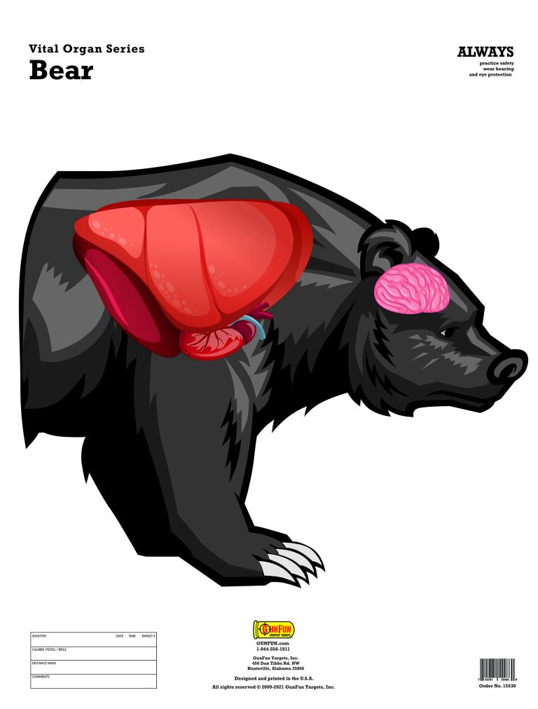 19x25 Bear shooting target with vivid vital organ overlays featuring the brain, lungs, and heart for ethical hunting practice.