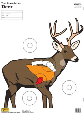 Deer 19x25 paper shooting target with realistic anatomy and vital organ markers for archery and firearm training.